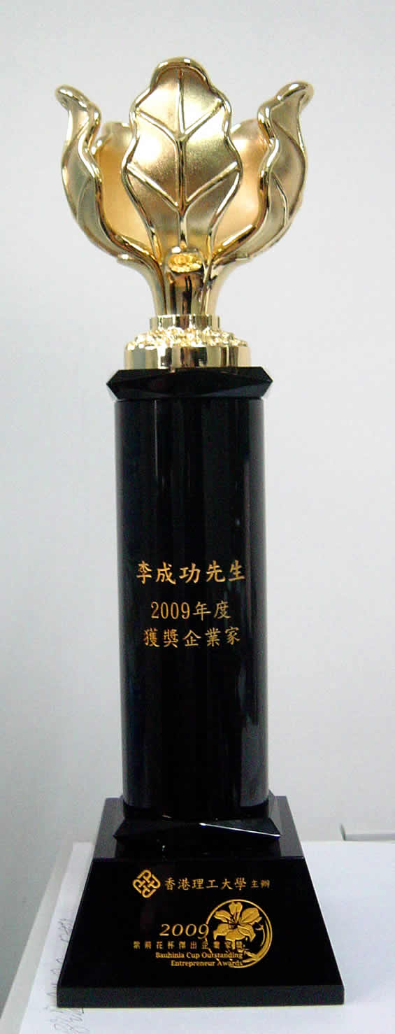 紫荊花杯杰出企業家獎